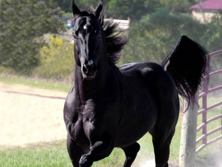 Lucky Dice - (4 ans)