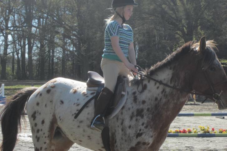 Madison an Apollo - Mâle (5 ans)
