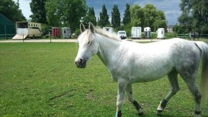 Comete - (5 ans)