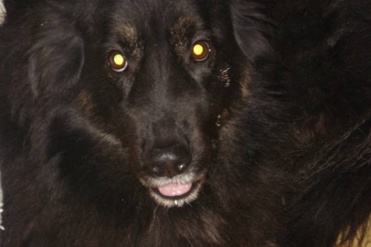 Babou.? - (9 ans)