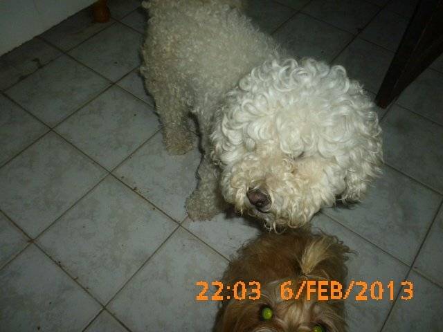 nieves - (4 ans)