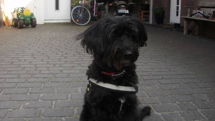 tabsi - (8 ans)