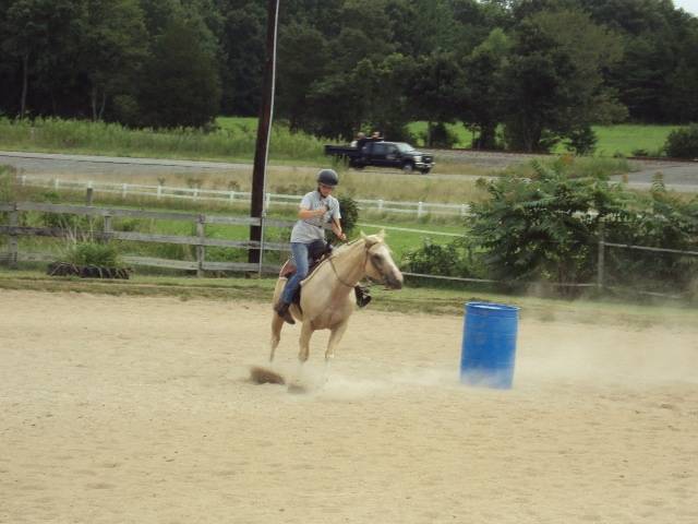 Charm - Mâle (5 ans)