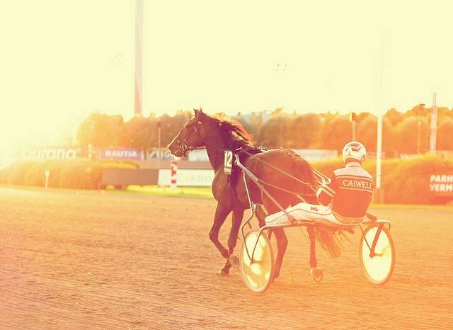 First Race of the Morning -