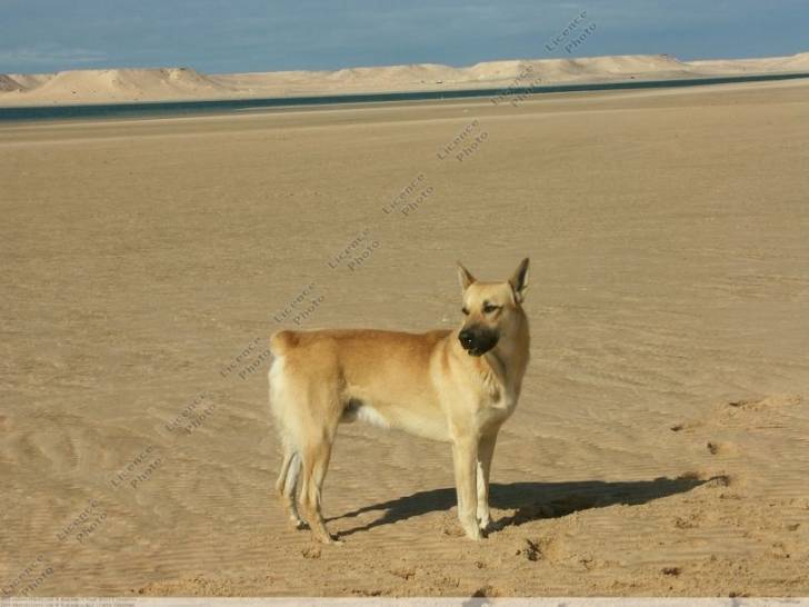 chance - (3 ans)