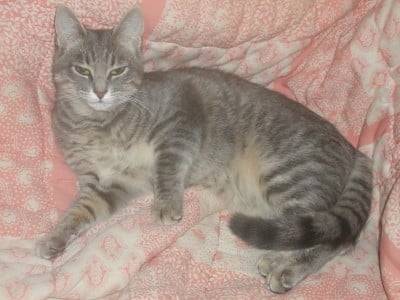 tomie - (6 ans)