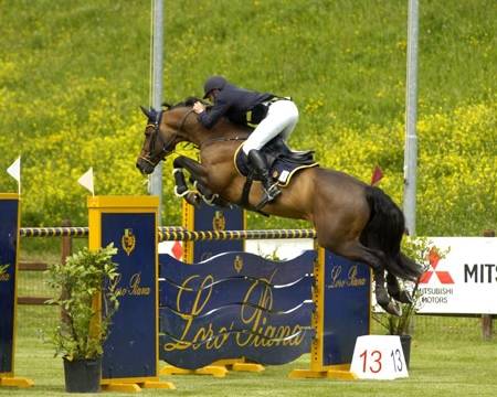 ANTY - Mâle (5 ans)