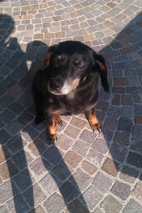 lilly - (13 ans)