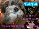TATA - (10 mois)