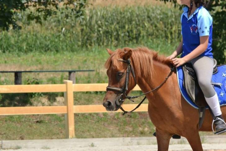 Eolo - Mâle (9 ans)