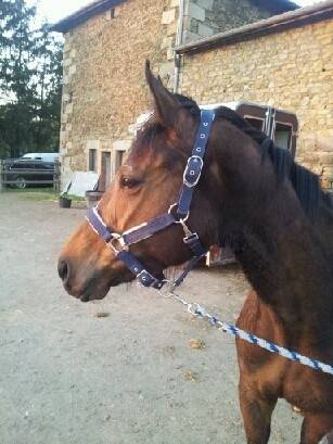 Tropica Tonic - (5 ans)