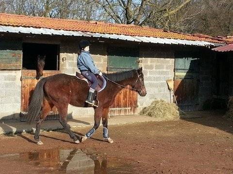 Tropica et moi - (4 ans)