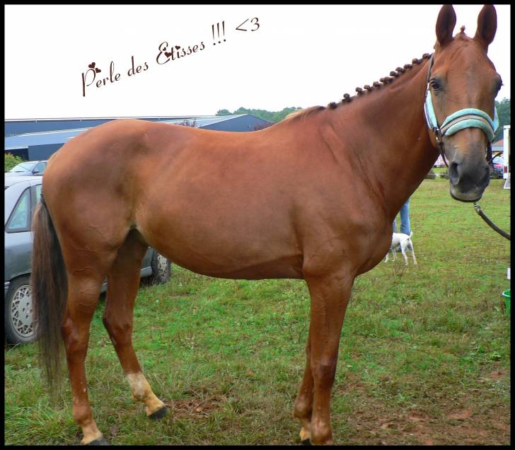 Perle - (10 ans)