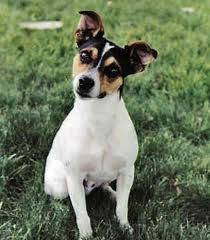 Abby - (4 ans)