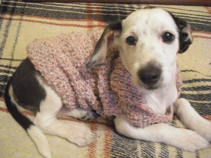 Yuriko - Femelle (2 ans)