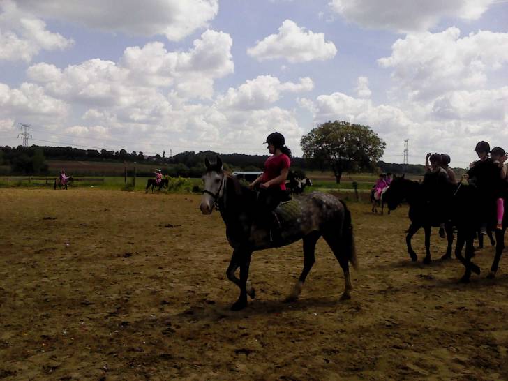 Cedoso - Mâle (6 ans)