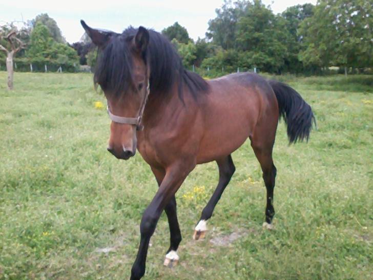 Boy's - Mâle (2 ans)