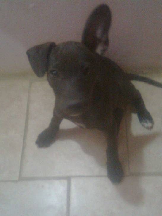 gomi - (2 mois)