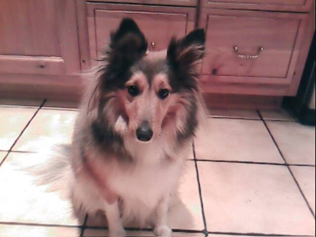 Louna - (3 ans)