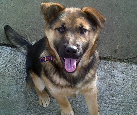 Roxy -