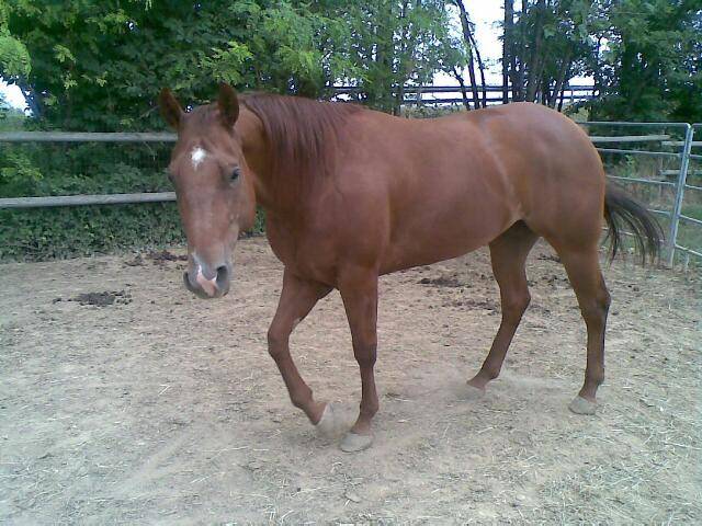 TRILLY e aura - (4 ans)