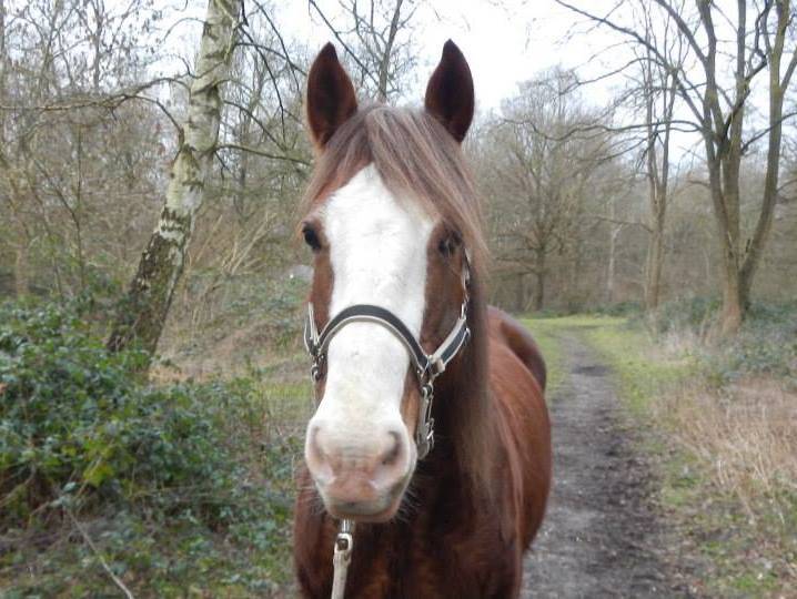 Maureen - (8 ans)