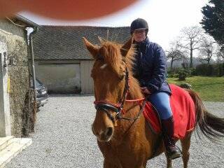 Scoop - Mâle (7 ans)