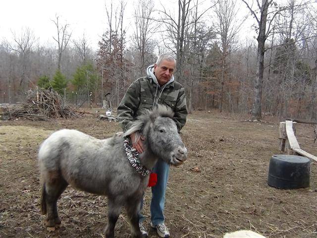 silver - (2 ans)
