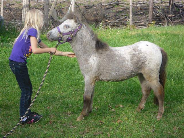 silver when she was a baby - (2 mois)