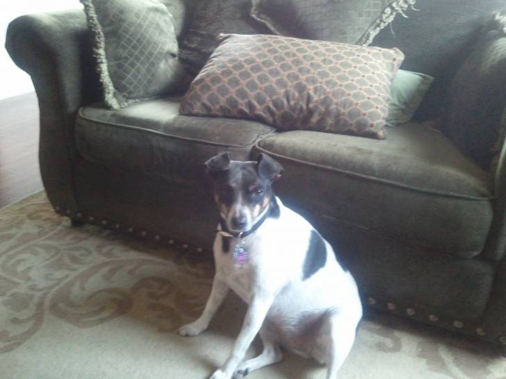 Lucy - (5 ans)