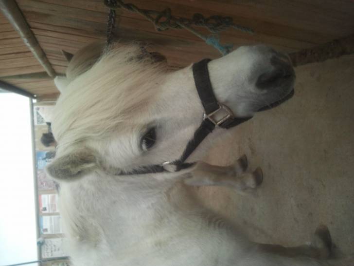 Maya - (8 ans)