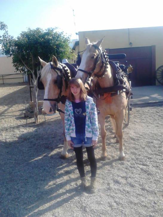 diamante y juncal - Mâle (15 ans)