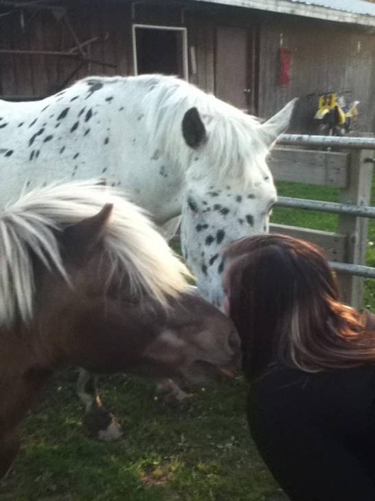 Buttons and Corkey - Mâle (24 ans)