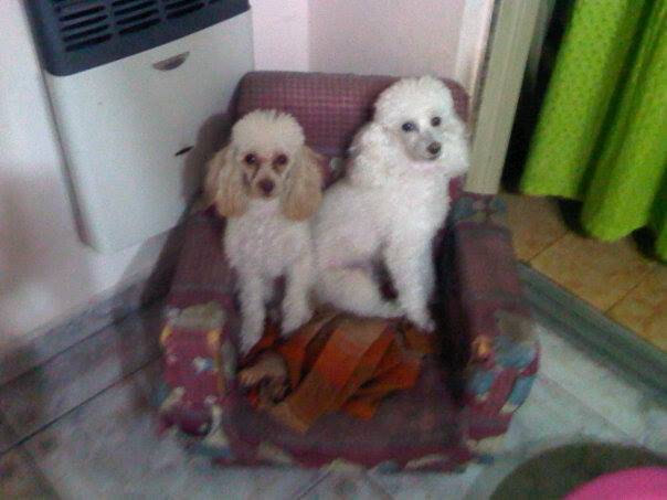 Jaz y Connie -
