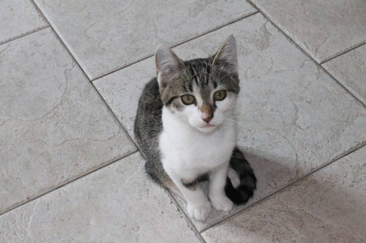 chaussette - (2 ans)