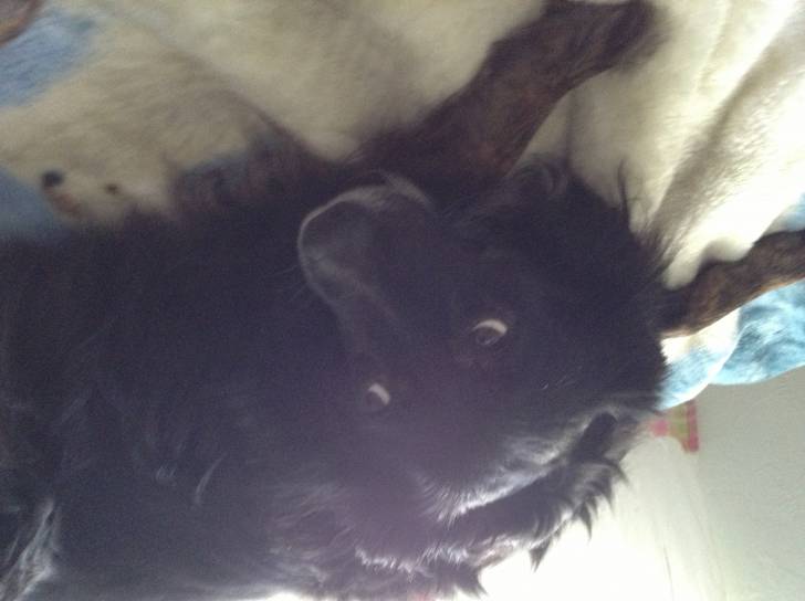 Willow - (4 ans)