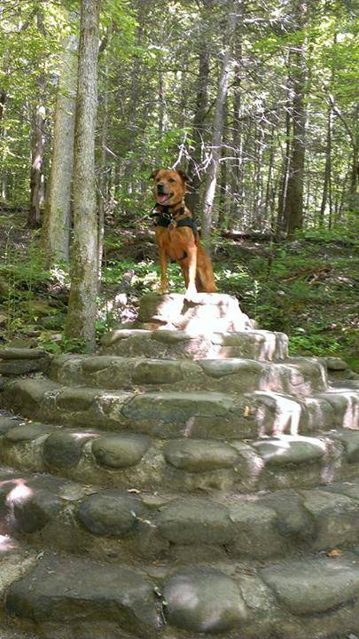Skye - (4 ans)