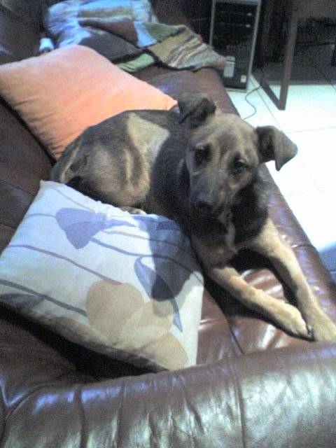 Eniska - (3 ans)
