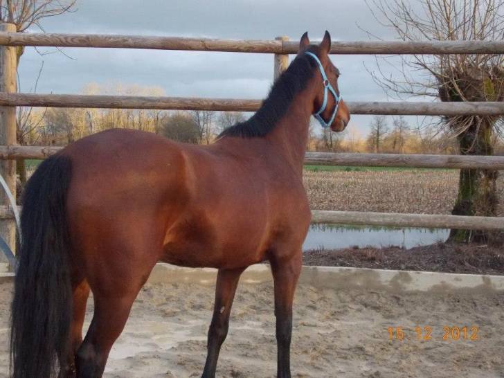 Tidja - (7 ans)