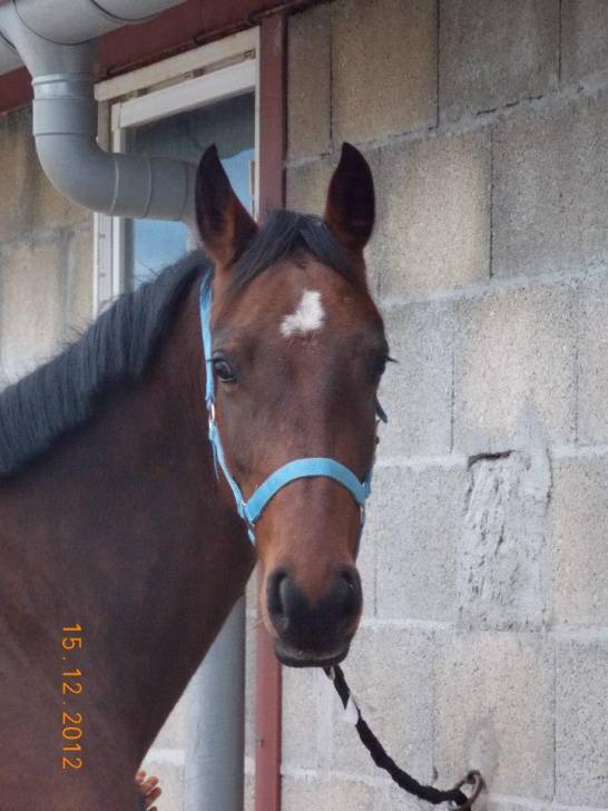 Tidja - (7 ans)