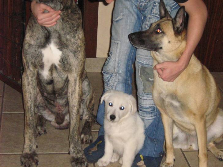 mes amours -