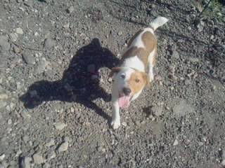 Equinox - (2 ans)