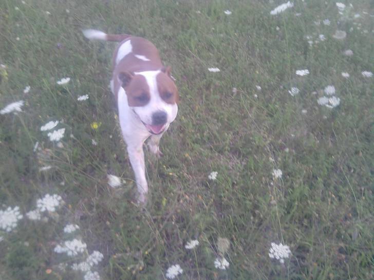 Max - (3 ans)