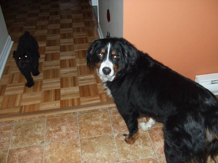 Chanelle - (8 ans)