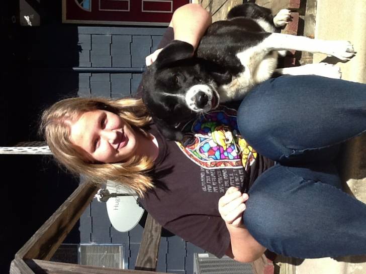 Duke - Mâle (4 ans)