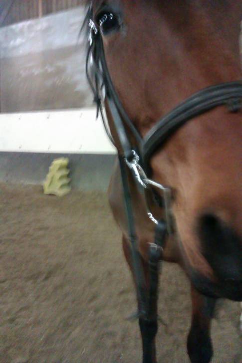 Reine - (9 ans)