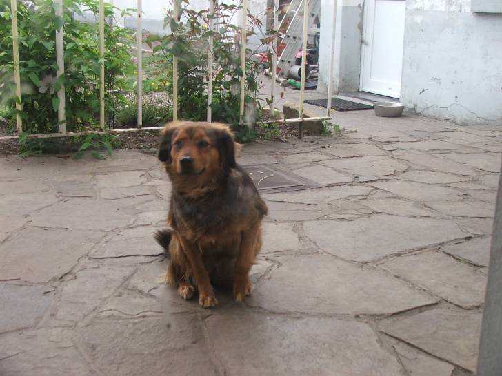 cannelle - (9 ans)
