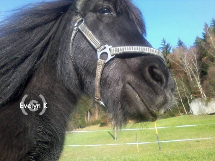 Sonira - (20 ans)