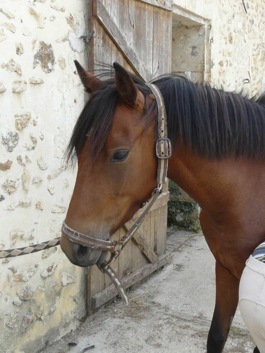 viky - (6 ans)