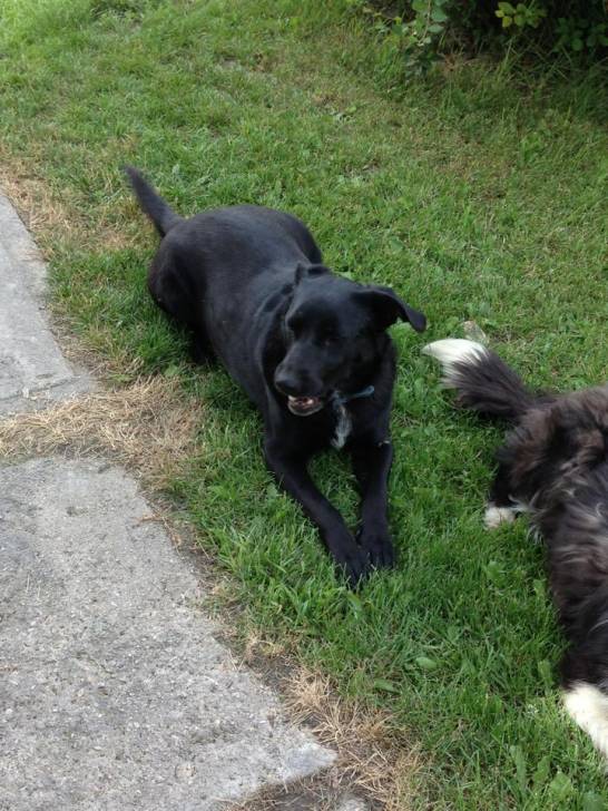 Luna - (6 ans)